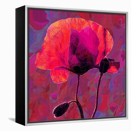 Poppy-Scott J. Davis-Framed Premier Image Canvas