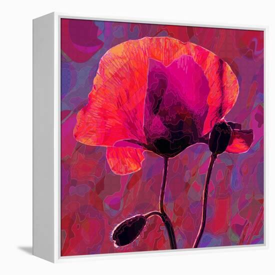 Poppy-Scott J. Davis-Framed Premier Image Canvas