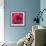 Poppy-Scott J. Davis-Framed Giclee Print displayed on a wall