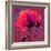 Poppy-Scott J. Davis-Framed Giclee Print