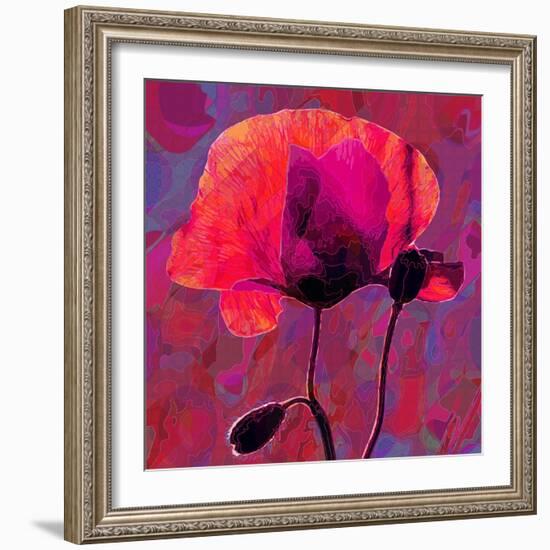 Poppy-Scott J. Davis-Framed Giclee Print