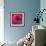 Poppy-Scott J. Davis-Framed Giclee Print displayed on a wall