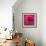 Poppy-Scott J. Davis-Framed Giclee Print displayed on a wall