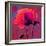 Poppy-Scott J. Davis-Framed Giclee Print