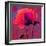 Poppy-Scott J. Davis-Framed Giclee Print