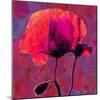 Poppy-Scott J. Davis-Mounted Giclee Print