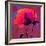 Poppy-Scott J. Davis-Framed Giclee Print