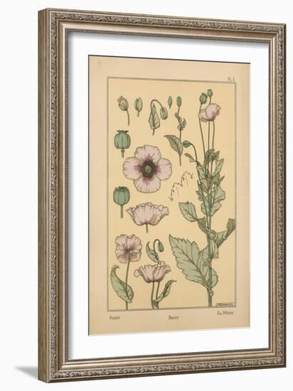 Poppy-null-Framed Giclee Print