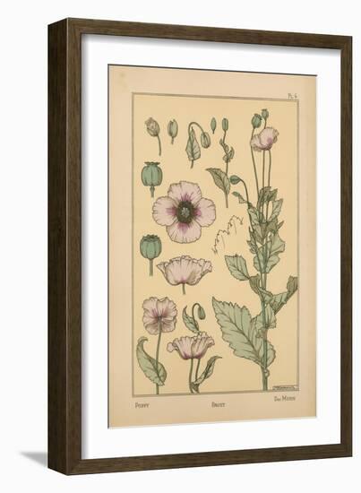 Poppy-null-Framed Giclee Print