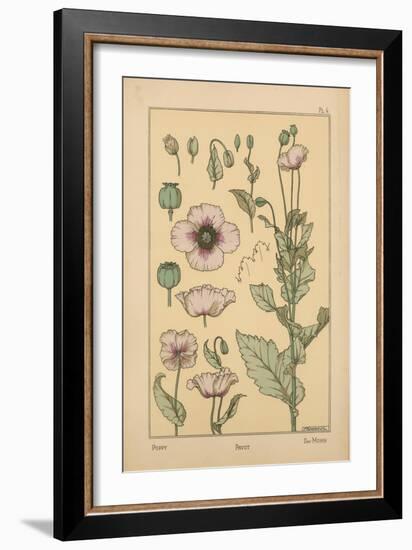 Poppy-null-Framed Giclee Print