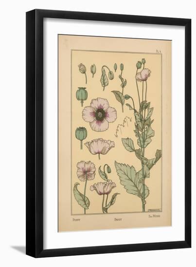 Poppy-null-Framed Giclee Print