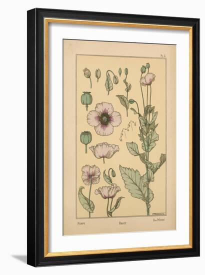 Poppy-null-Framed Giclee Print