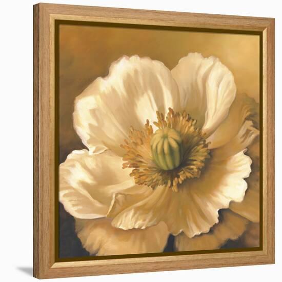 Poppy-Lisa Audit-Framed Premier Image Canvas