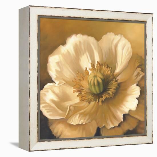 Poppy-Lisa Audit-Framed Premier Image Canvas