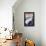 Popular Mechanics, June-null-Framed Stretched Canvas displayed on a wall