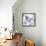 Porcelain Hummingbird-Asia Jensen-Framed Stretched Canvas displayed on a wall