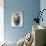 Porcelain Royal Doulton Vase-null-Giclee Print displayed on a wall