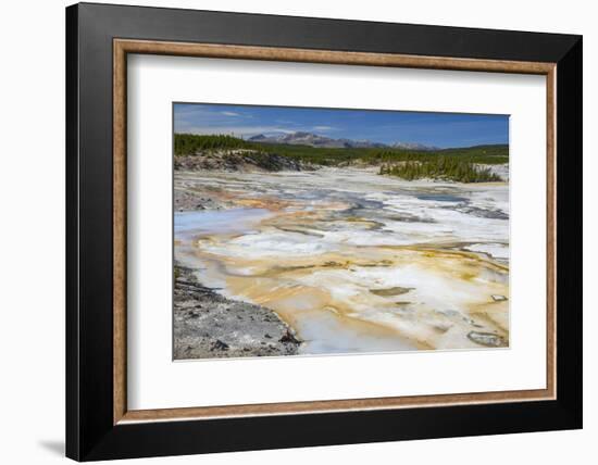 Porcelain Springs, Norris Geyser Basin, Yellowstone National Park, Wyoming, U.S.A.-Gary Cook-Framed Photographic Print