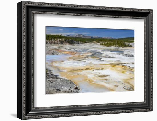 Porcelain Springs, Norris Geyser Basin, Yellowstone National Park, Wyoming, U.S.A.-Gary Cook-Framed Photographic Print