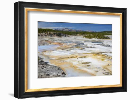 Porcelain Springs, Norris Geyser Basin, Yellowstone National Park, Wyoming, U.S.A.-Gary Cook-Framed Photographic Print