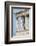 Porch of the Maidens, Erechtheion, Acropolis, Athens, Greece, Europe-Jim Engelbrecht-Framed Photographic Print