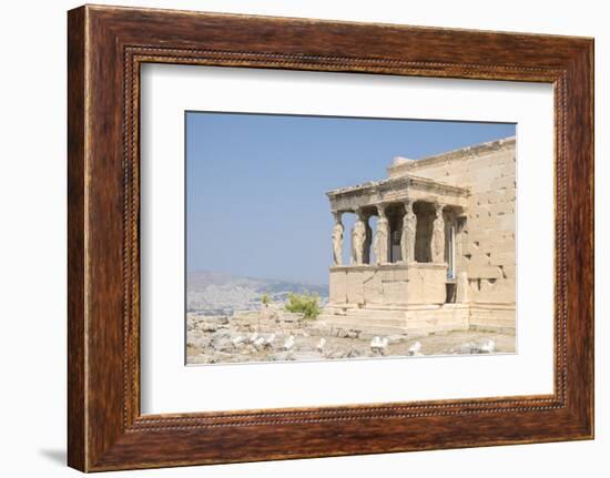 Porch of the Maidens, Erechtheion, Acropolis, Athens, Greece-Lisa S. Engelbrecht-Framed Photographic Print