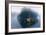 Porch View-Zhen-Huan Lu-Framed Giclee Print