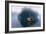 Porch View-Zhen-Huan Lu-Framed Giclee Print