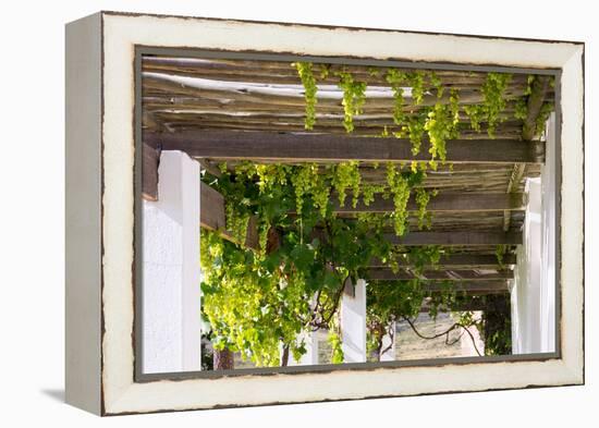 Porch with Hanging Bunches of Grapes-Catharina Lux-Framed Premier Image Canvas