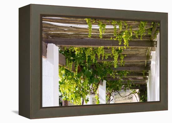 Porch with Hanging Bunches of Grapes-Catharina Lux-Framed Premier Image Canvas