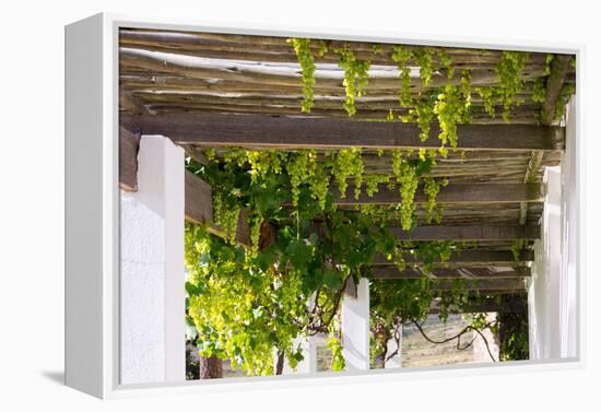 Porch with Hanging Bunches of Grapes-Catharina Lux-Framed Premier Image Canvas