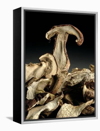 Porcini Mushrooms 'Golgotha', 1994-Norman Hollands-Framed Premier Image Canvas