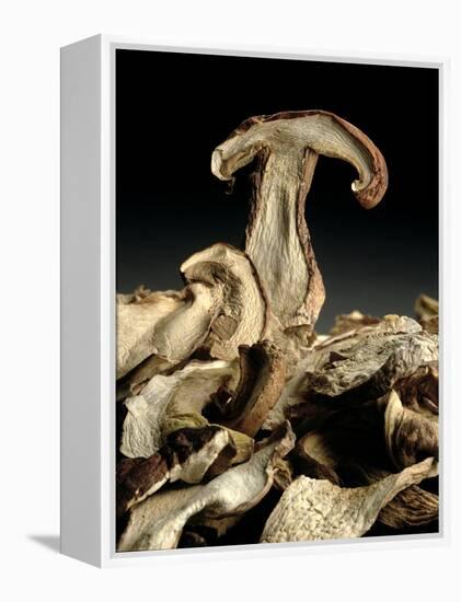 Porcini Mushrooms 'Golgotha', 1994-Norman Hollands-Framed Premier Image Canvas
