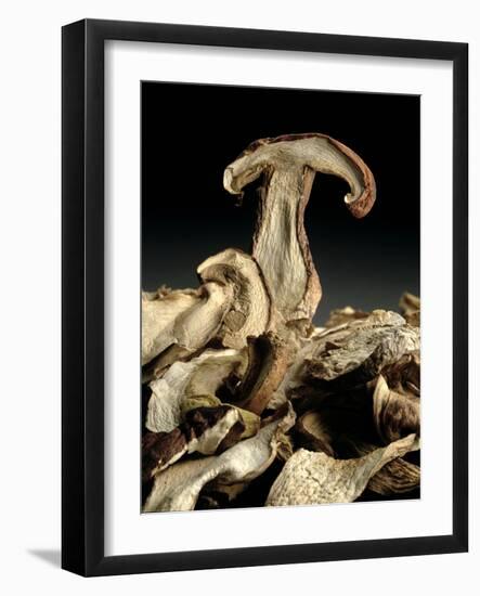 Porcini Mushrooms 'Golgotha', 1994-Norman Hollands-Framed Photographic Print