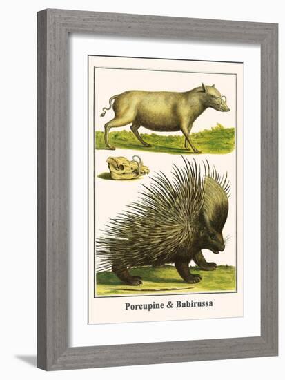 Porcupine and Babirussa-Albertus Seba-Framed Art Print