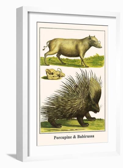 Porcupine and Babirussa-Albertus Seba-Framed Art Print