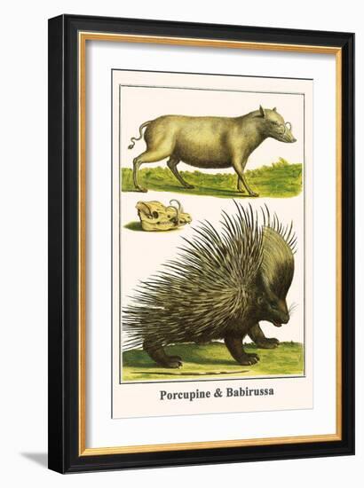 Porcupine and Babirussa-Albertus Seba-Framed Art Print