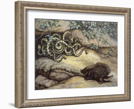 Porcupine and Snakes-null-Framed Art Print