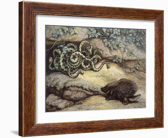 Porcupine and Snakes-null-Framed Art Print