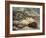 Porcupine and Snakes-null-Framed Art Print