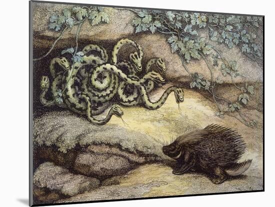 Porcupine and Snakes-null-Mounted Art Print