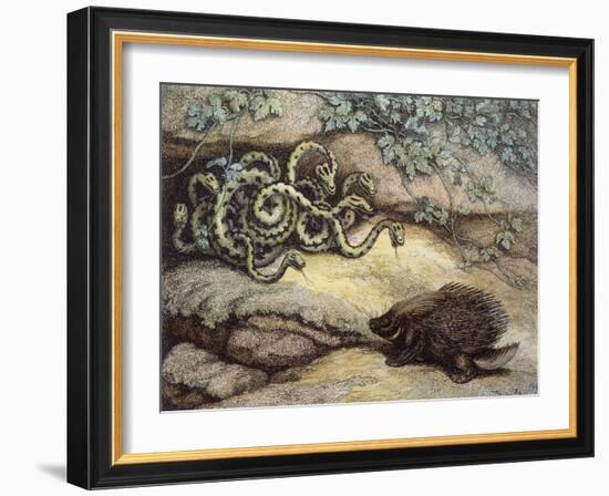 Porcupine and Snakes-null-Framed Art Print