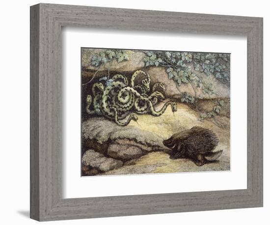 Porcupine and Snakes-null-Framed Premium Giclee Print