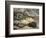 Porcupine and Snakes-null-Framed Premium Giclee Print