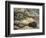 Porcupine and Snakes-null-Framed Premium Giclee Print