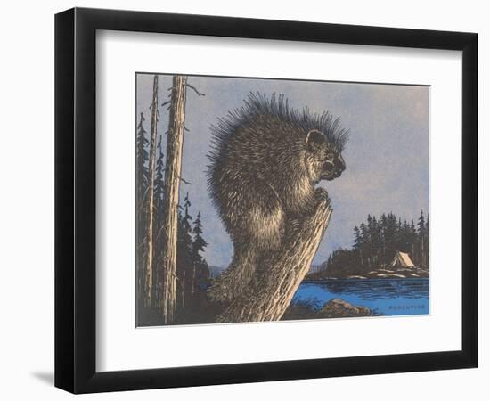 Porcupine on Stump-null-Framed Premium Giclee Print