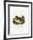 Porcupine-null-Framed Giclee Print