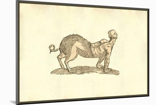 Porcus Parte Antica Humana-Ulisse Aldrovandi-Mounted Art Print