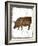 Pork Butcher Block-Sheldon Lewis-Framed Art Print