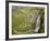 Porphyry Basin Waterfall, San Juan National Forest, Colorado, USA-James Hager-Framed Photographic Print